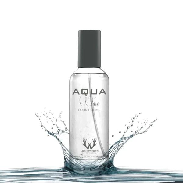 Montwood Aqua Wave Pour Homme Perfume (100ml)